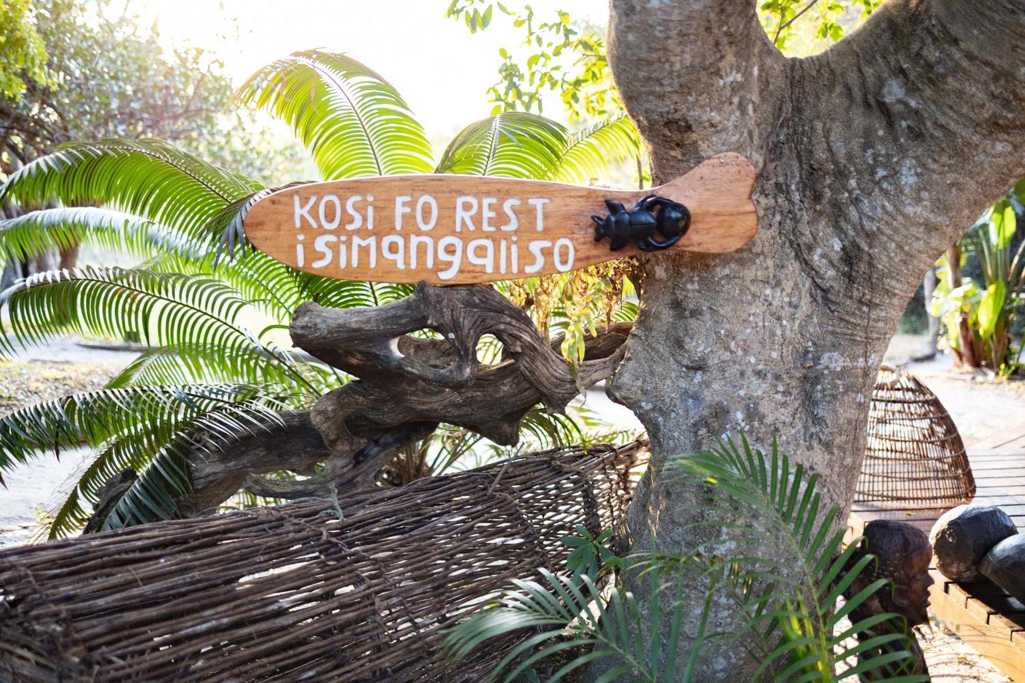Kosi Forest Lodge Manguzi Екстер'єр фото