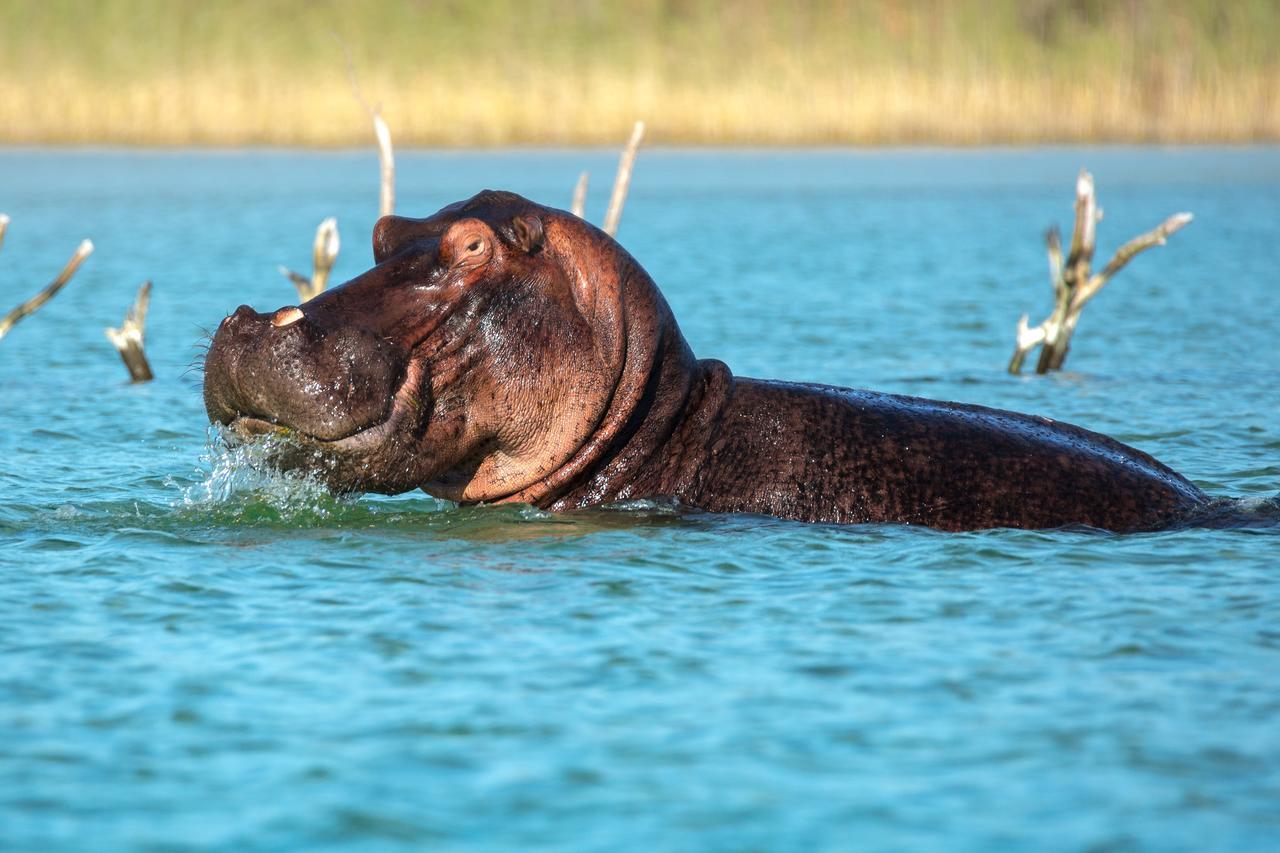 Kosi Forest Lodge Manguzi Екстер'єр фото