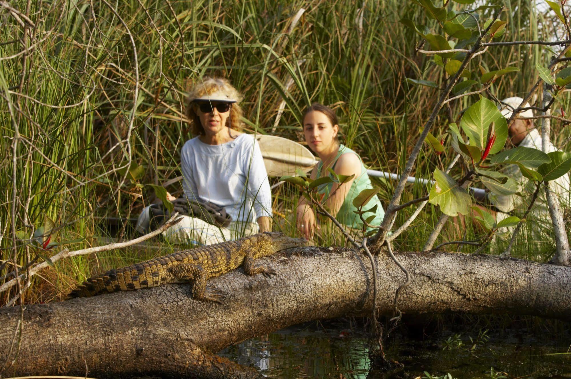 Kosi Forest Lodge Manguzi Екстер'єр фото