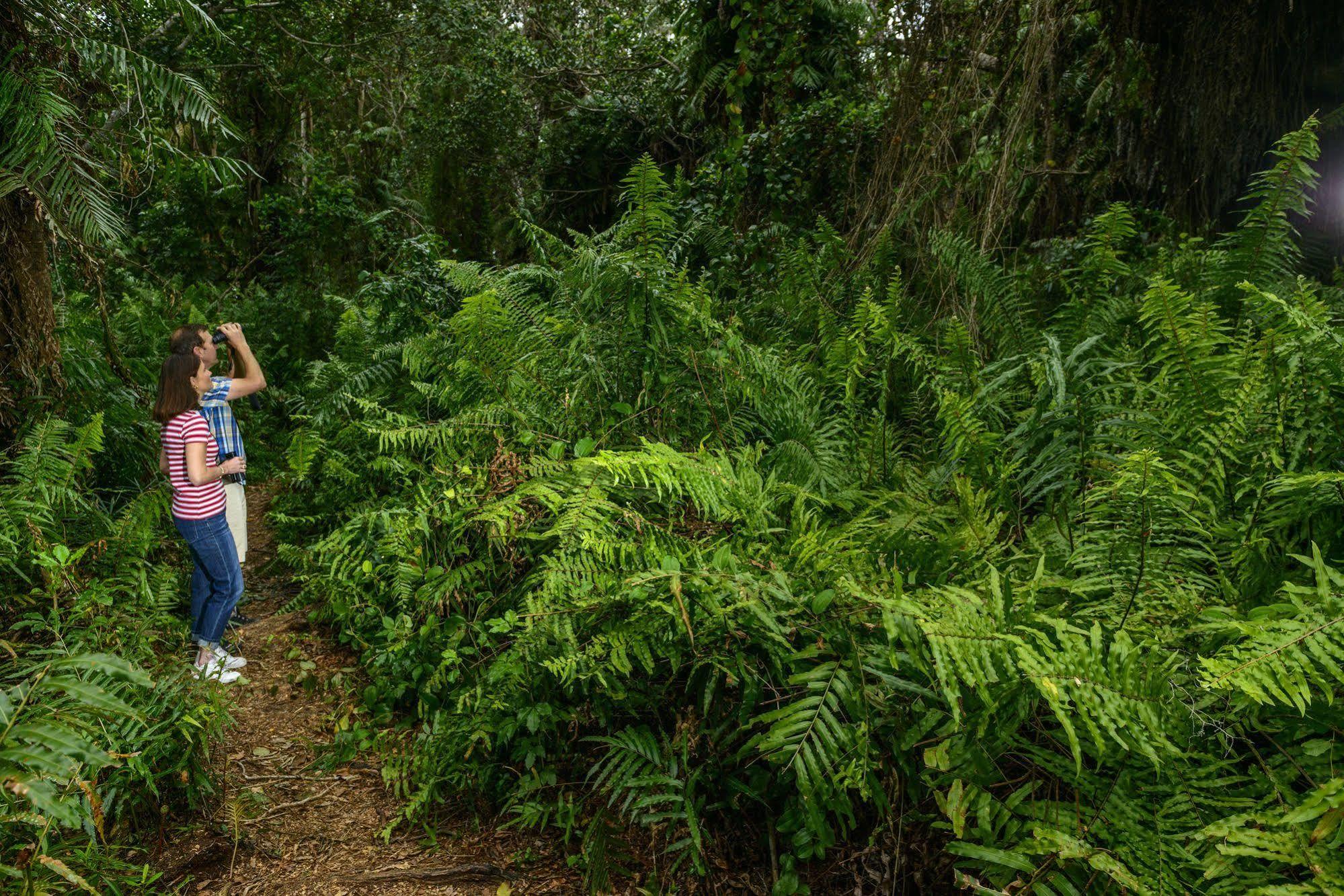 Kosi Forest Lodge Manguzi Екстер'єр фото