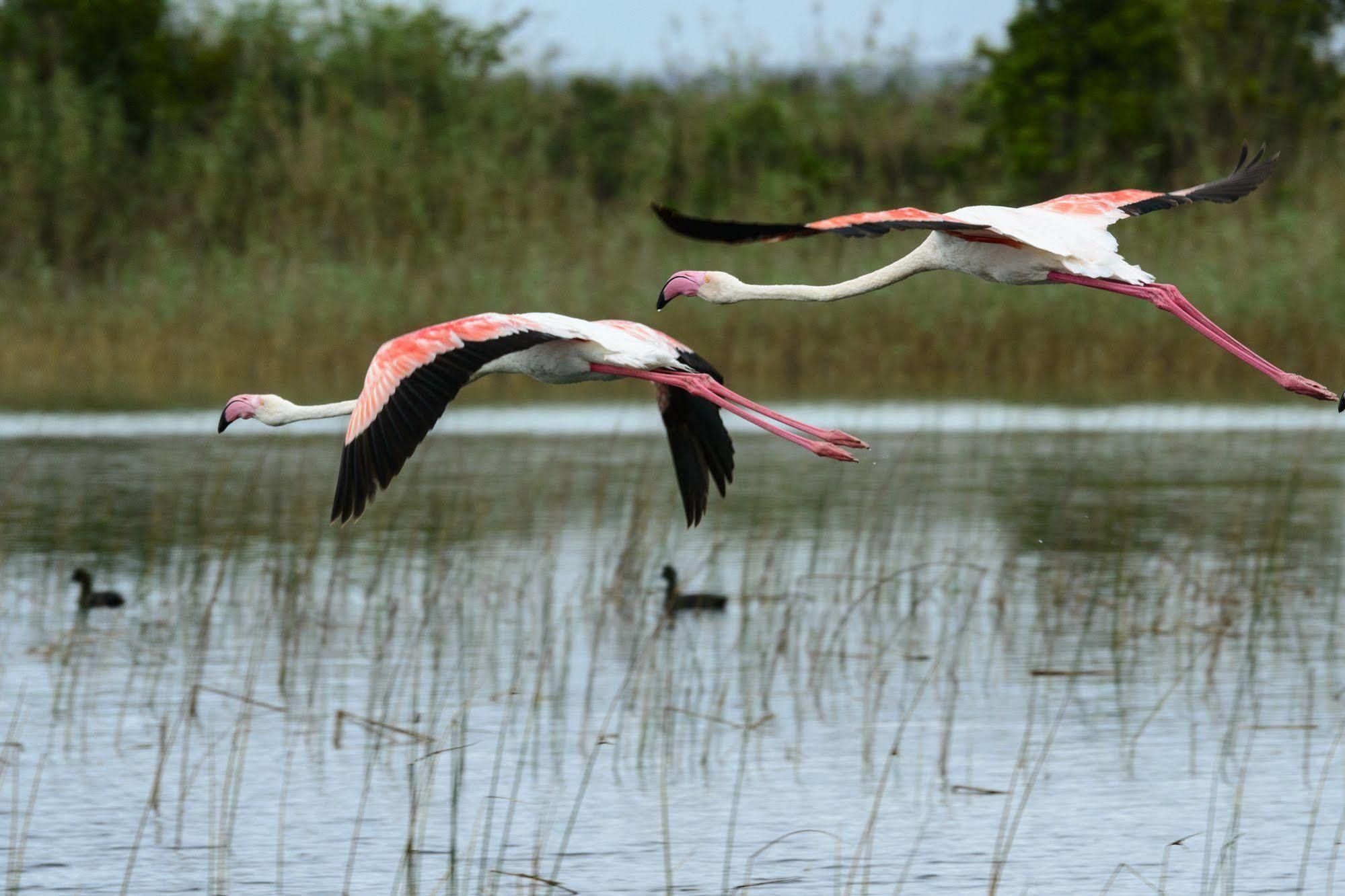 Kosi Forest Lodge Manguzi Екстер'єр фото
