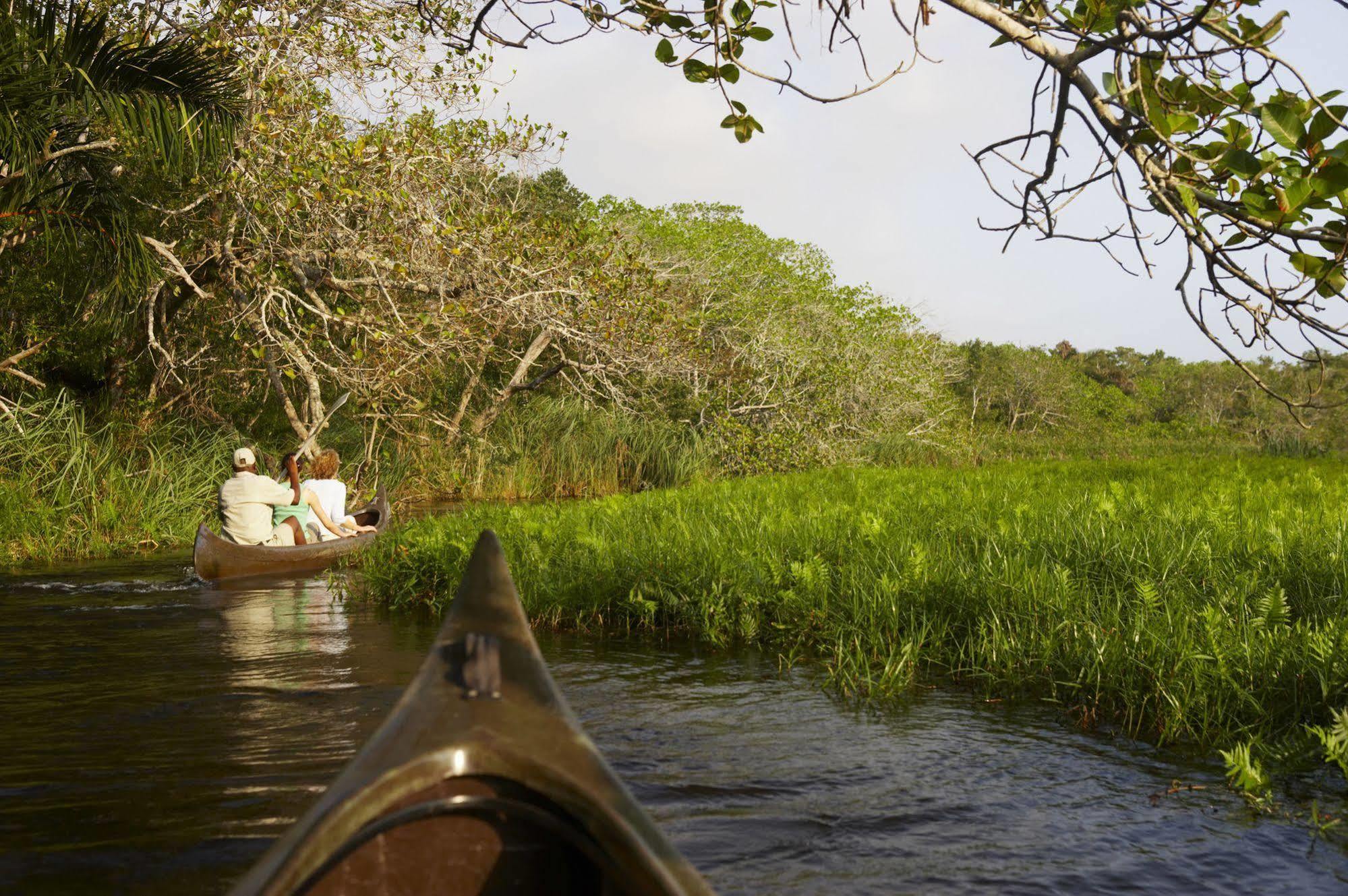 Kosi Forest Lodge Manguzi Екстер'єр фото