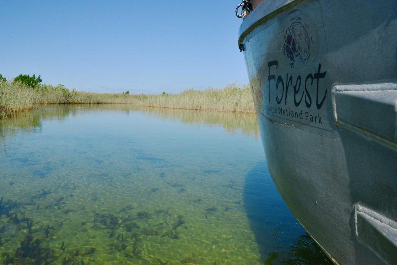 Kosi Forest Lodge Manguzi Екстер'єр фото
